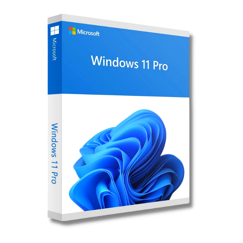 Microsoft Windows 11 Pro (OEM)